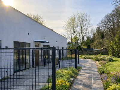 Moderne havevej med blomster og bygning